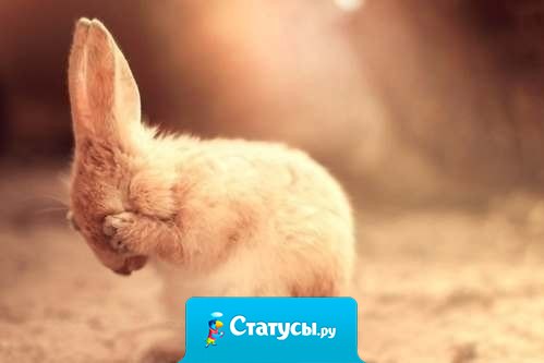 Когда думаешь слишком много – выдумаешь проблему на пустом месте, которой изначально не было.