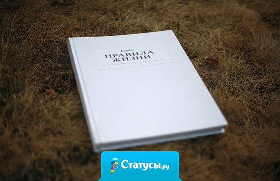 Захочешь — найдешь время, не захочешь — найдешь причину. Закон жизни.