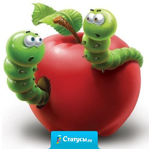 Если сплетни донимают, огорчаться нет нужды. Знайте — черви выбирают только лучшие плоды!