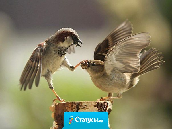 Когда мужчина много балаболит, хочется сделать так.