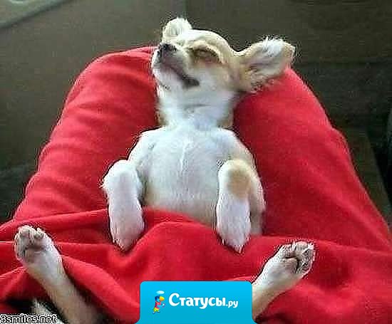 - Ты что сегодня делаешь!? - Ничего! - Ты же вчера это делала!!! - Я не доделала!!!