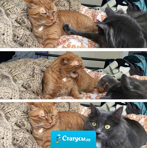 Отношения — тяжелый труд.