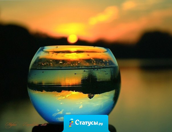 Люди никогда не верят тому, что им рассказывают, они должны до всего дойти сами.