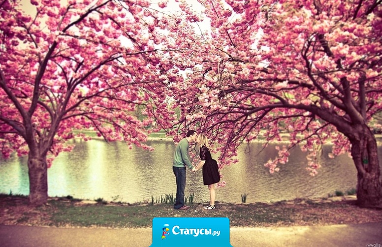 Чувство, когда тебя ночью обнимают и сквозь сон притягивают к себе поближе — непередаваемо.