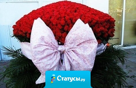 Люблю цветы. Они приносят в нашу жизнь краски и хорошее настроение. Особенно приятно, когда получаешь их неожиданно и без повода.