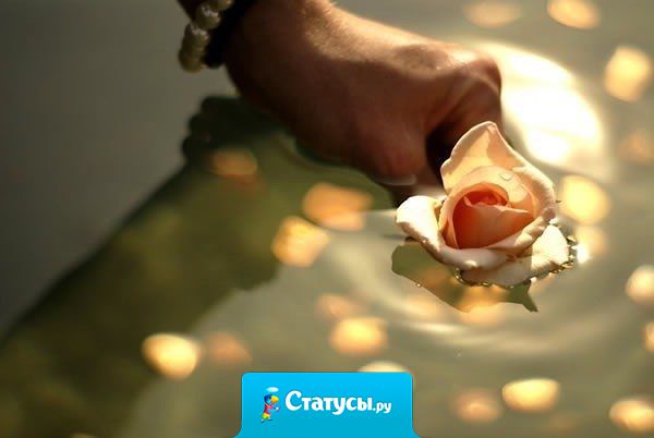 Человек становится зрелым в тот момент, когда он начинает больше любить, чем искать Любовь..