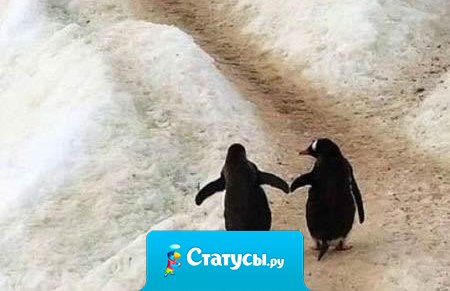 Если хочешь идти быстро — иди один. Если хочешь идти далеко — идите вместе.