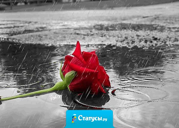 Если любовь задыхается - дышите... если прощается - прощайте... если она ушла - это была не она.