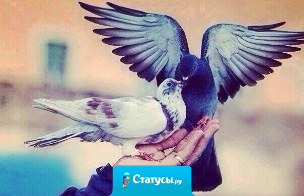 Никогда не ругайте себя за прошлое. Вы просто пытались быть счастливыми.