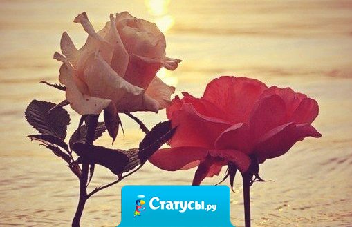 Иногда хватает мгновения, чтобы забыть жизнь, а иногда не хватает жизни, чтобы забыть мгновение.