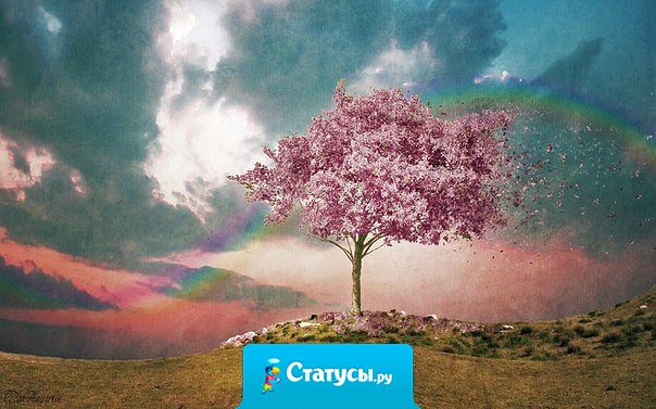 Только незрелый человек беспокоится о том, что скажут о нем или как его назовут. Неважно как называть сакуру, как ее не назови, она все равно цветет божественно.