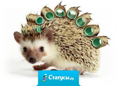 Пытаюсь исправить свой колючий характер.