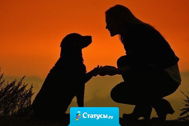 Верные друзья - лучшее лекарство в жизни.