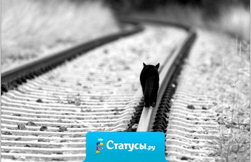 Чтобы душу твою не сгубили, чтоб себя наконец-то найти, чтоб тебя никогда не забыли, иногда нужно просто уйти.