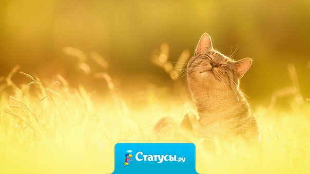 Чем меньше в голове ожиданий, тем больше в жизни сюрпризов!