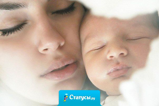 Я беру твою ладошку в руку! И целую венку на запястье. Я не зря испытывала муки, чтоб родить себе такое счастье…