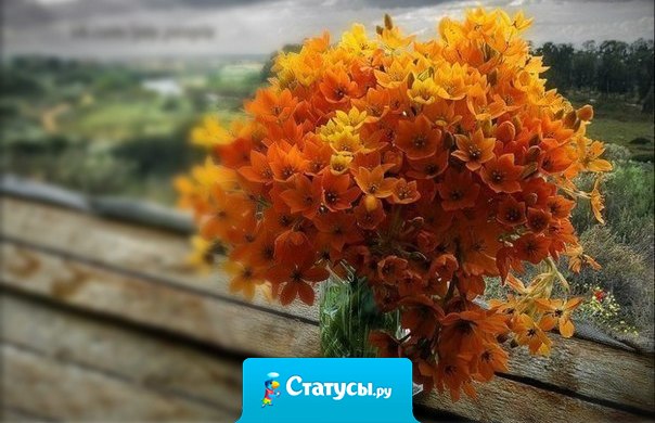 А счастлив тот, кто на рассвете сумел однажды осознать, сто жив, здоров, что солнце светит  и будет новый день опять!