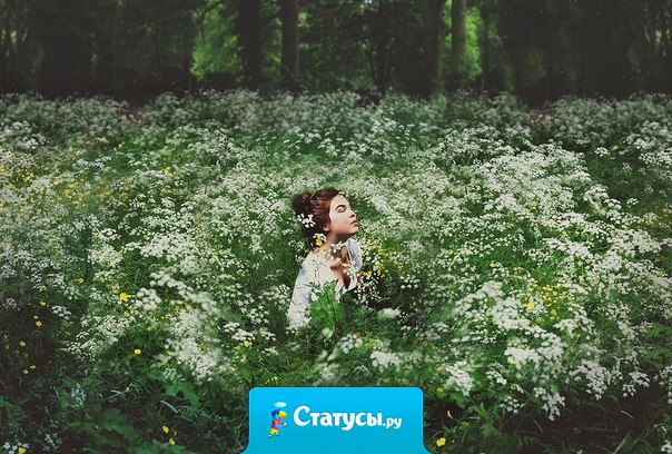 Не принимай никакой негатив. Пока ты его не примешь, он принадлежит тому, кто его принес. 