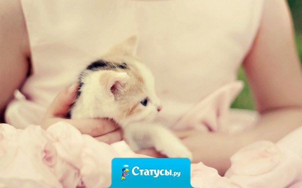 Красота привлекает внимание, а доброта завоёвывает сердце.