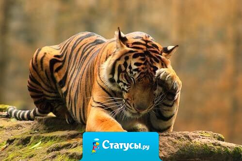 Самый лучший способ не разочаровываться - ничего ни от кого не ждать.