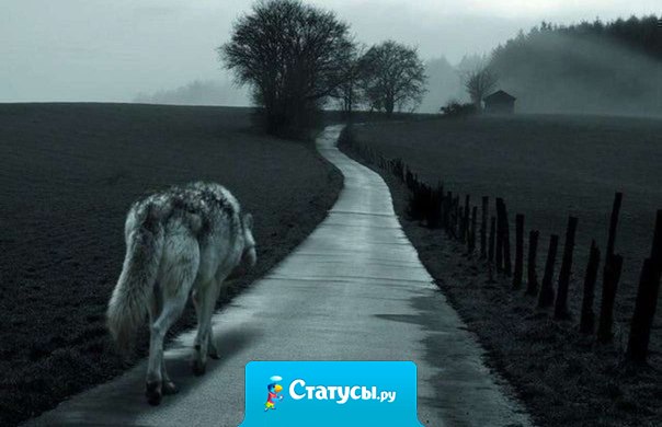 Иногда лучше быть одиноким — ведь никто не сможет сделать тебе больно.