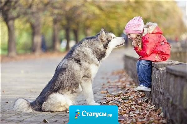 Друг — слово короткое, но смысла в нём больше, чем в сотне длинных предложений...