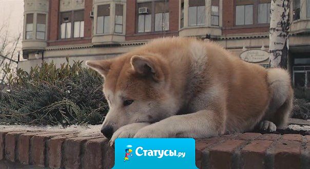 Ты знаешь, что ничего не изменится, но почему-то все равно продолжаешь ждать.