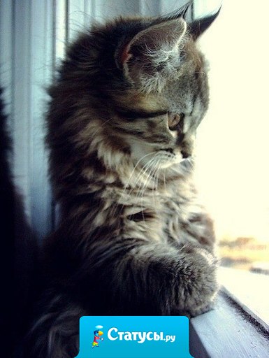 Ждать — это самое трудное.