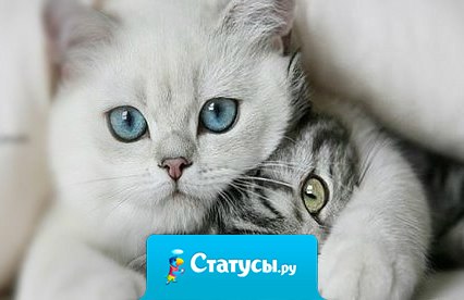 Счастье своё держать надо крепко. И людям его показывать редко.