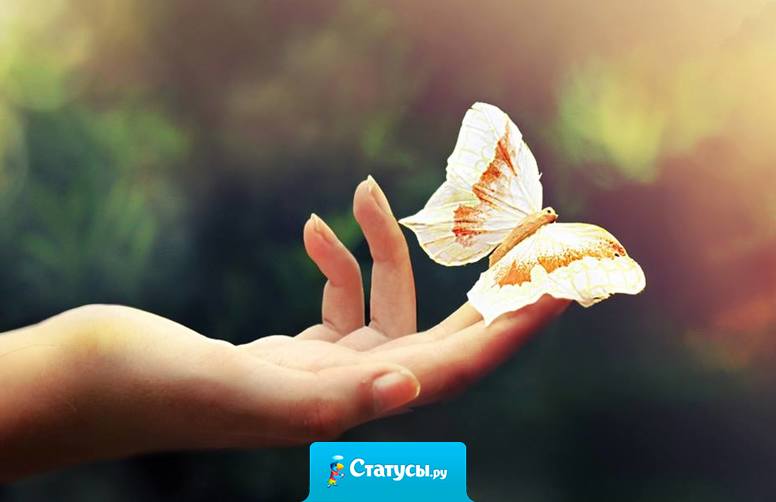 Если вам кажется, что надо что-то менять в этой жизни, то вам не кажется.