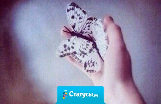 Спокойствие — сильнее эмоций. Молчание — громче крика. Равнодушие — страшнее войны!