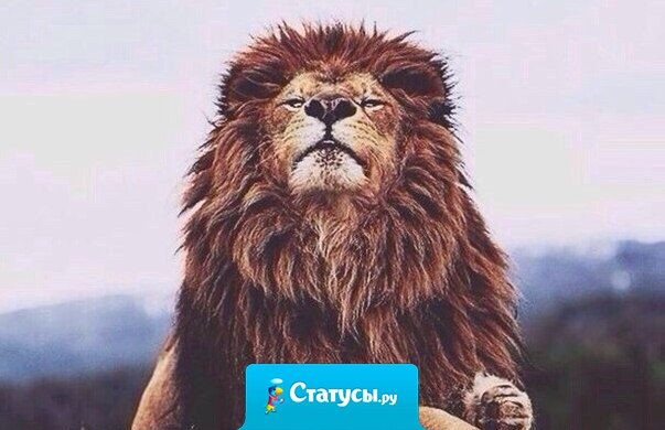 Не стоит верить мне, если есть сомнения. Не иди со мной, если нет терпения.