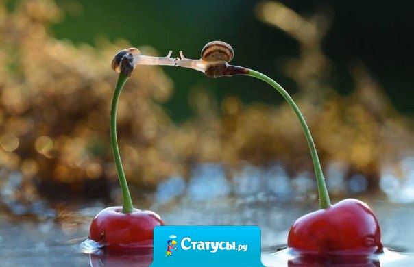 Нет преград для любви.