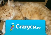 Чужих детей не бывает!