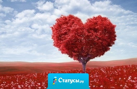 Не красота вызывает любовь, а любовь заставляет нас видеть красоту. 