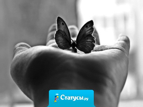 Не засоряйте свою память обидами, а то там может просто не остаться места для прекрасных мгновений.