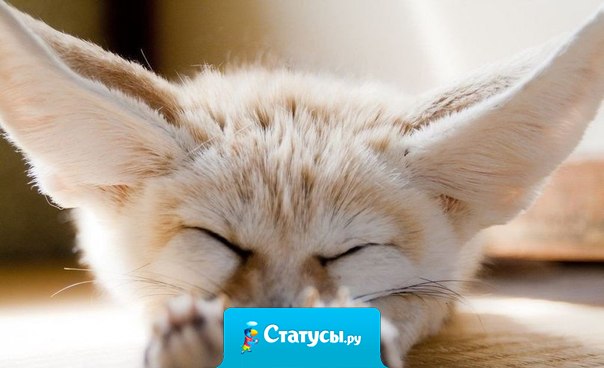 Внешность зависит не от шмоток, не от прически и даже не от макияжа... Внешность зависит от того, какую песню поет душа...