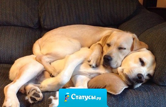 Семейная жизнь она такая....