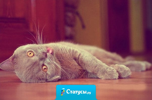 Лучшее окончание спора с женщиной — притвориться мертвым.