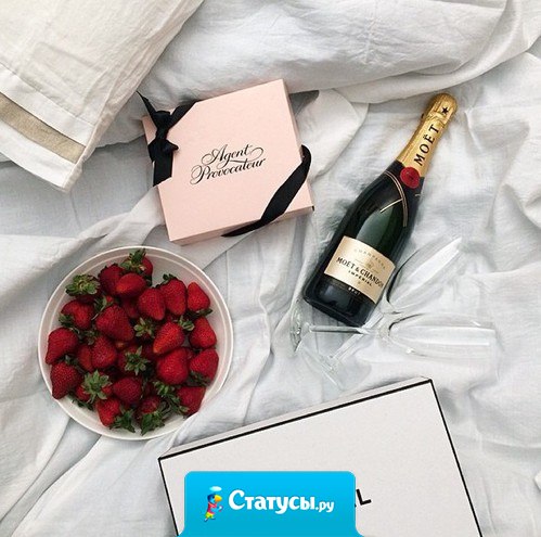 Говорят, если съесть шоколадку, сразу поднимается настроение! Врут!!! Надо ещё и шампанским запивать!!!