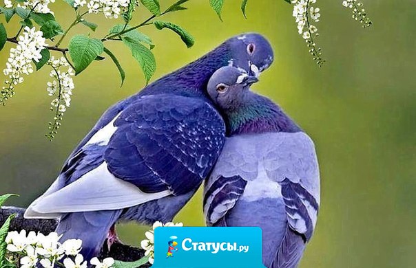 Поняла, что взрослею: блины получаются все лучше, в людей верится все меньше, старые фильмы кажутся лучше новых, по маме скучаешь все сильнее, к сердцу принимаешь все ближе, шапку надеваешь всё чаще!