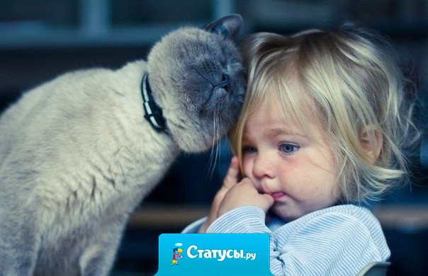 Не плачь! Хочешь я ему в ботинки нассу?!