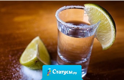 Пьяный человек - это самый искренний человек! Посмотрите. Во-первых, он говорит правду. Во-вторых, он говорит что думает. В-третьих, если тебе позвонил пьяный человек, ты для него действительно дорог.