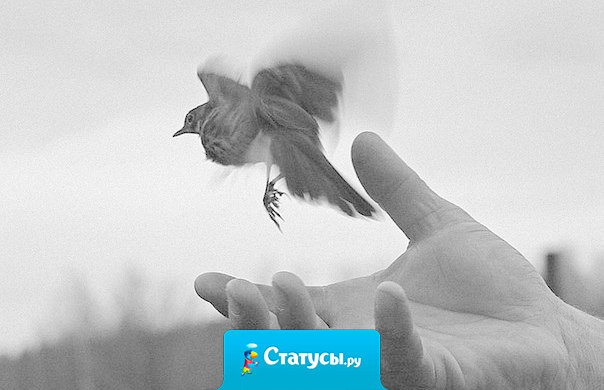 Учись отпускать - в этом секрет счастья.