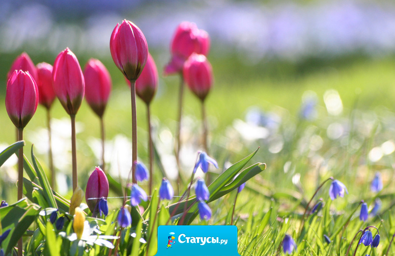 Весной дует самый что ни на есть настоящий ветер перемен, он дует так сильно, что способен принести перемены в жизнь каждого…