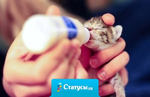 Доброта важнее красоты.