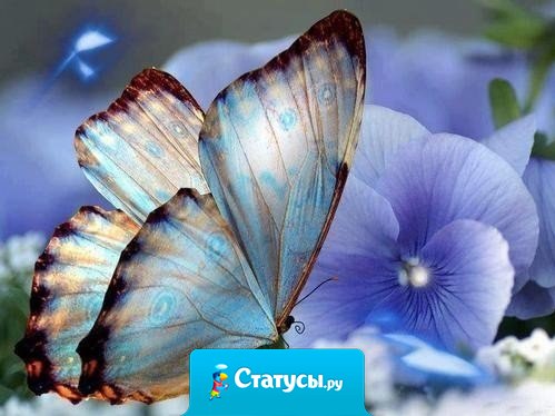 Мы меняемся под влиянием людей, которых встречаем, и порой настолько, что сами себя не узнаем.