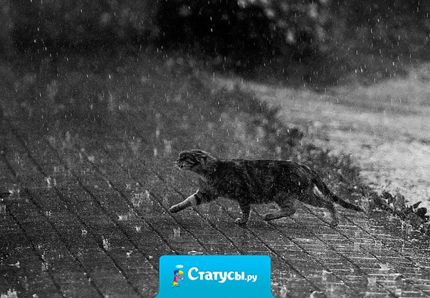 И даже не смей думать, что ты можешь не выдержать.