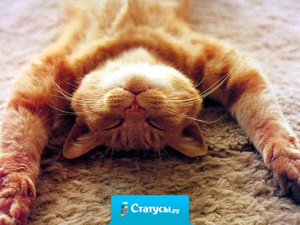 Некоторые вещи нужно просто пережить, ничего не предпринимая.