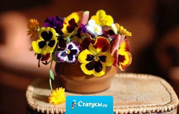 Красивым кажется все, на что смотришь с любовью.